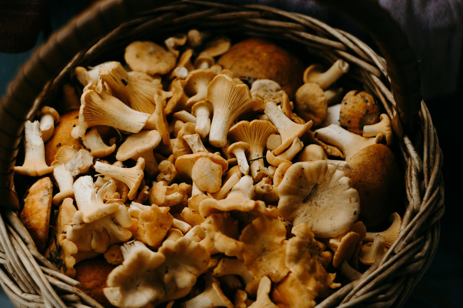 Photo by Irina Iriser: https://www.pexels.com/photo/basket-of-mushrooms-1249884/